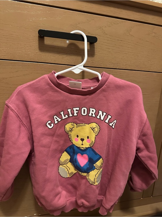 Zara Other - Zara Pink Teddy 'California' Sweatshirt